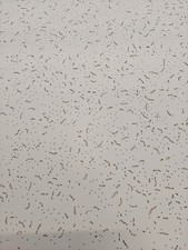 Suspended ceiling tiles - suspended,