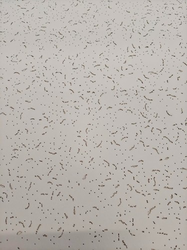 Suspended ceiling tiles - suspended,