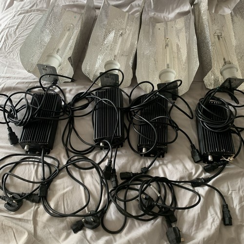 Job lot hydroponic grow - job,