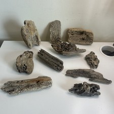 10 Unique Driftwood Pieces