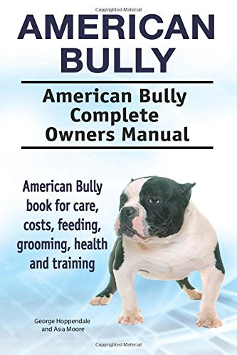 American bully - american,