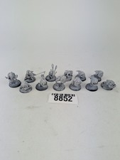 Warhammer Age of Sigmar Gloomspite Gitz Squig Herd