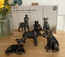 BRAND NEW NEXT Black/Gold