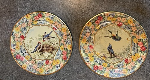 Lovely bluebird daher - (2),