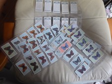 A NEAR  FULL SET OF WILLS CIGARETTE CARDS IN PLASTIC SLEEVES  -BUTTERFLIES