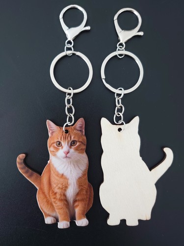 Ginger cat keyring - cat,