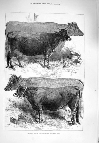 Original old antique print - original,