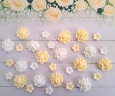 Yellow white edible - (09), 30