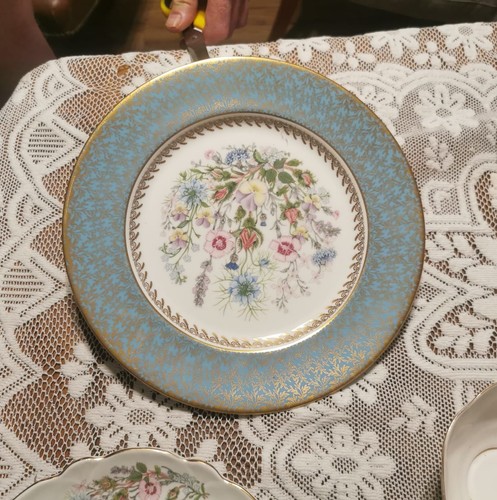 Vintage aynsley wild - aynsley, tudor"