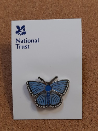 National trust boxhill blue - trust,