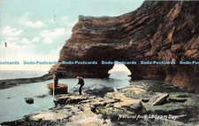 R244175 Natural Arch Ladram