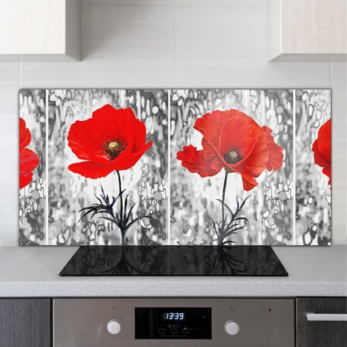 Toughened glass kitchen - toughened,