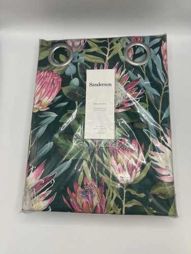 Sanderson king protea - sanderson,
