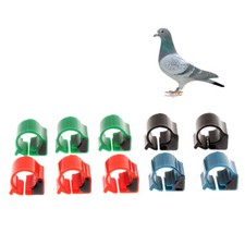 10pack chip tag - chip, rfid