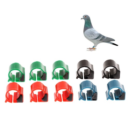 10pack chip tag rfid pigeon - tag,