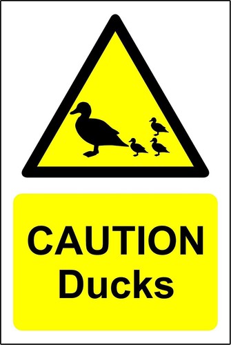 Caution ducks warning - , safety