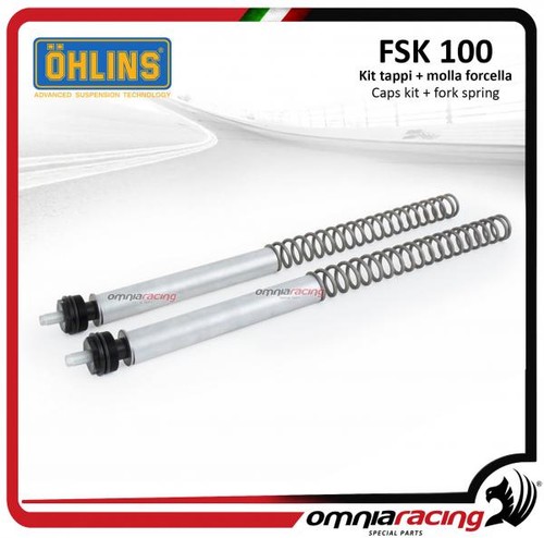 Ohlins fsk100 front fork - fsk100,