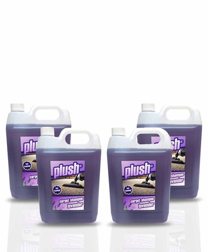 Cleaning carpet upholstery - cleaning,