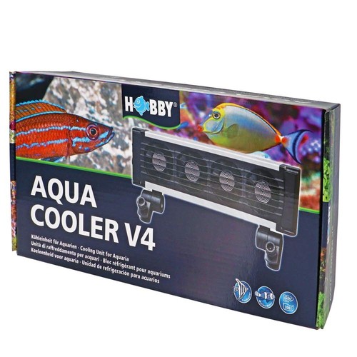 Brand new fish tank hobby - fish,