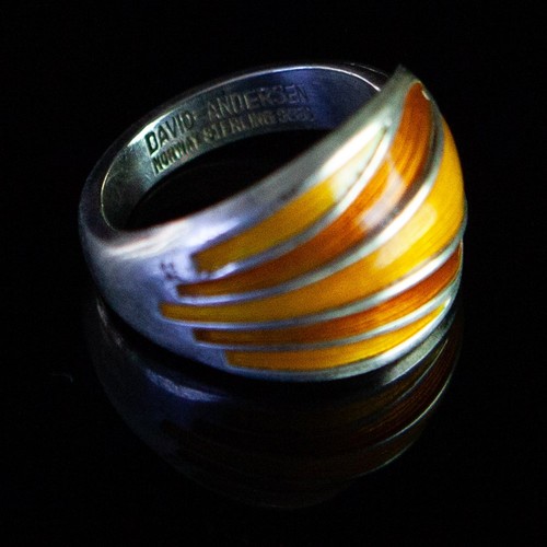 Torill bjorg for - torill,