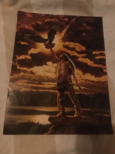 Eagle feather gallery - eagle,