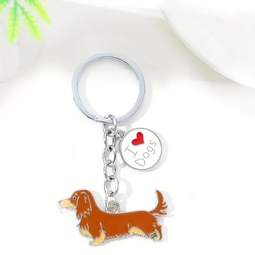 Long haired dachshund sausage - haired, dachshund/sausage