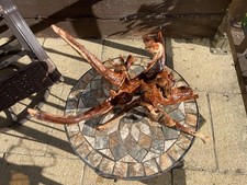 Aquarium Driftwood Driftwood Natural Aquascape Fish Tank (E) 22x41x25cm