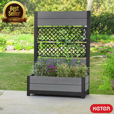 Privacy Tulip Screen Planter