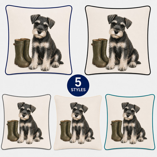 Miniature schnauzer puppy - schnauzer,