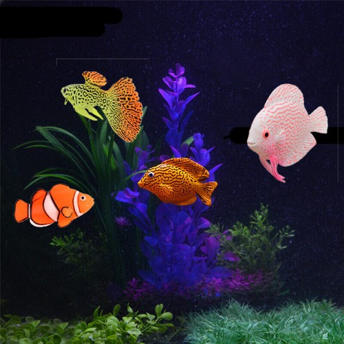 Aquarium floating fish glowing - floating,