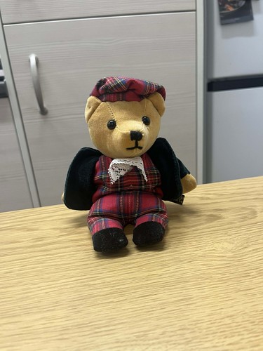 The velveteen bean bear - velveteen,