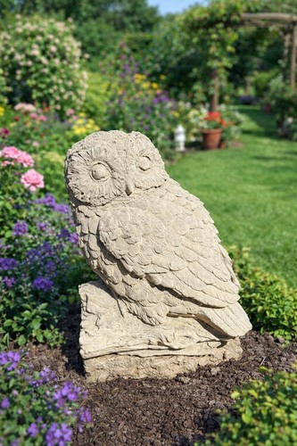 Owl log stunning detail - owl, on