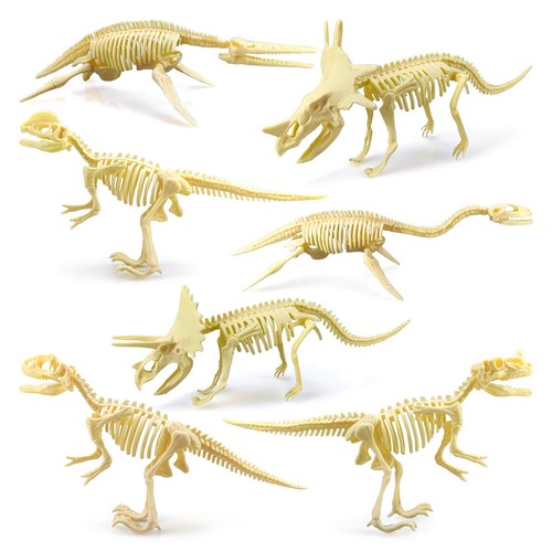 Pcs diy dinosaur bone 3d - 7,