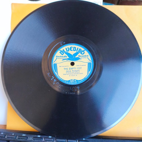 Jesse rodgers bluebird - jesse,