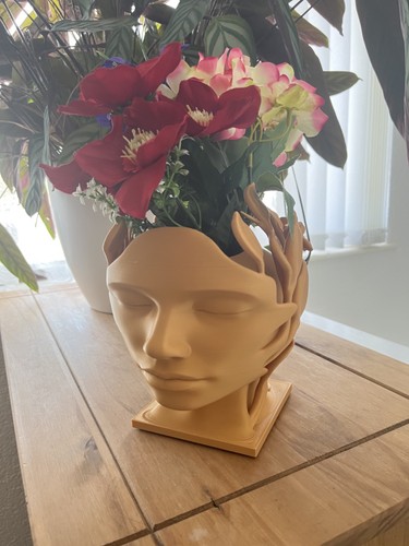 Mira modern woman - modern, head