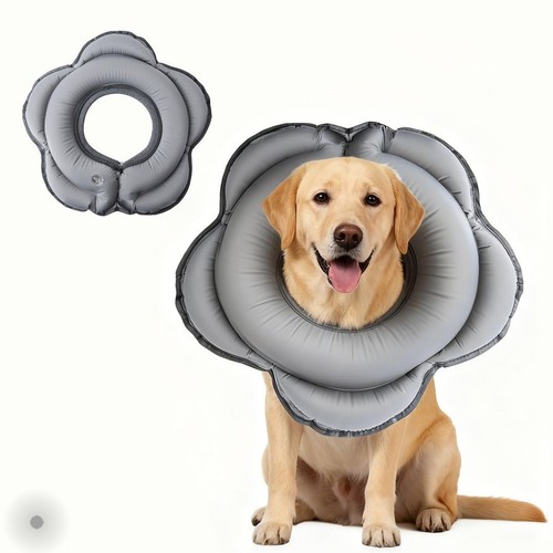 Dog inflatable recovery - dog,