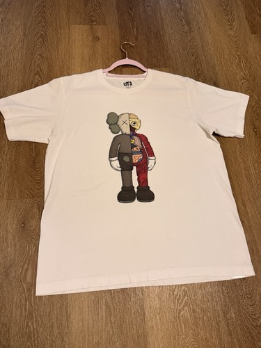 Kaws uniqlo flayed - kaws,