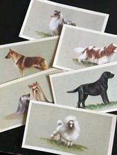 Grandee Cigar Top Dogs