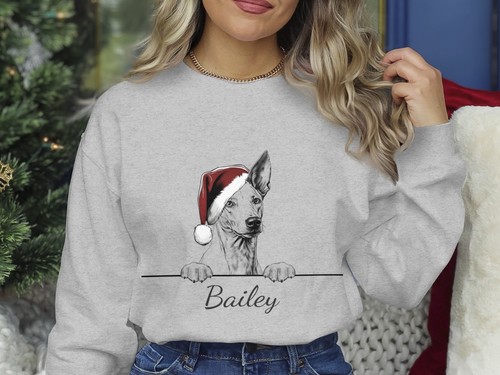 Ibizan hound christmas - ibizan,