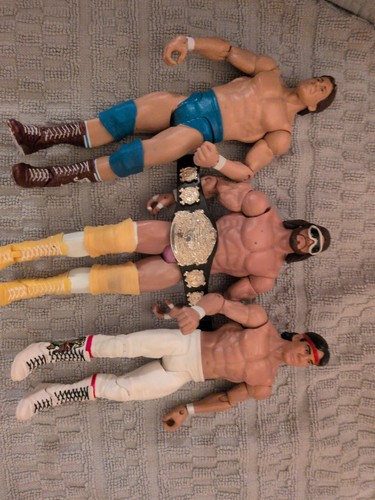 2011 wwe macho man randy - 2011,