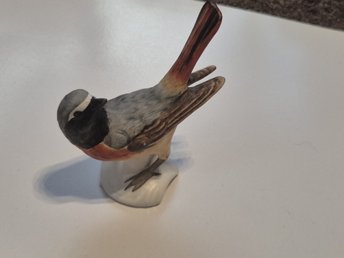 469 goebel redstart bird - 469,