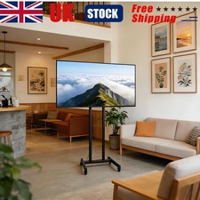 Mobile Floor Standing TV