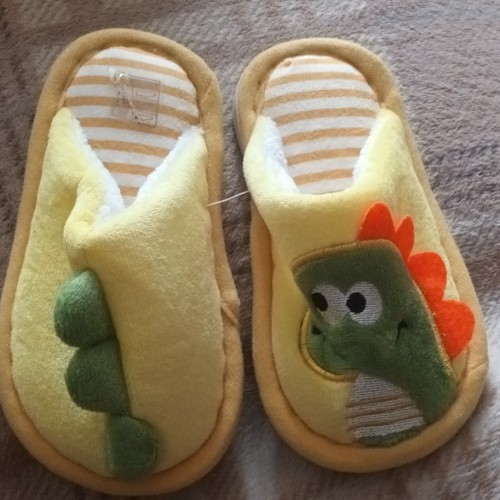 Kids dinosaur slip slippers - kids, slip-on