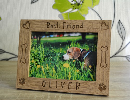 Best friend pet dog - best,