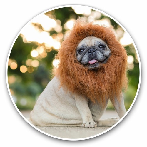 Vinyl stickers 30cm cute - -,