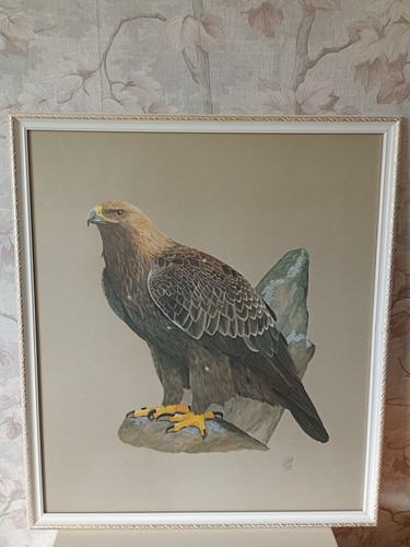 Vintage golden eagle print - golden,