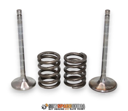 Cylinder head valve - head, spring