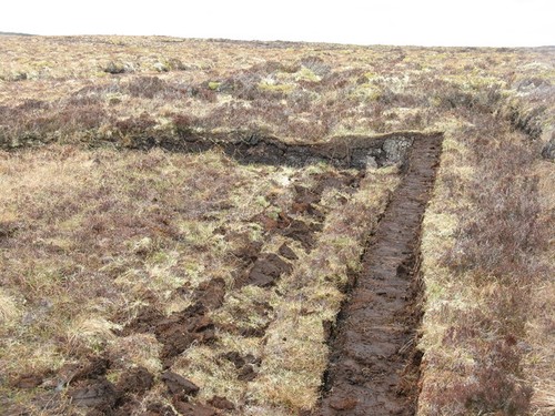 Photo peat cutting - cutting, at
