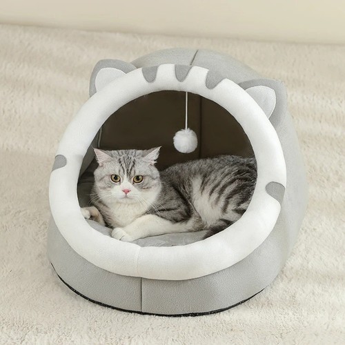 Pet cat kitten - beds, igloo