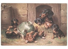 C. Reichert Mom Puppies